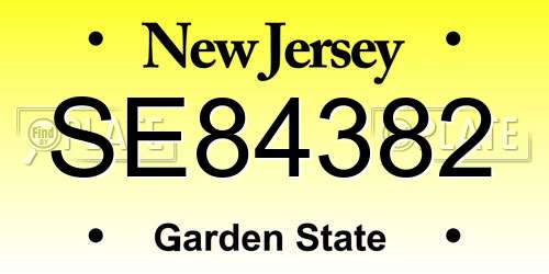 SE84382 New Jersey License Plate