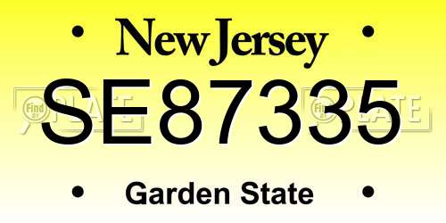SE87335 New Jersey License Plate