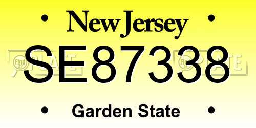 SE87338 New Jersey License Plate