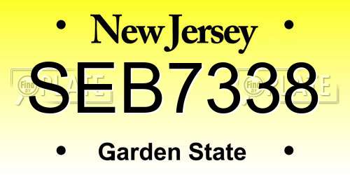 SEB7338 New Jersey License Plate