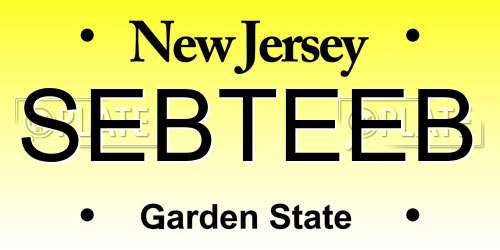 SEBTEEB New Jersey License Plate