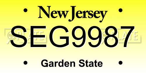 SEG9987 New Jersey License Plate