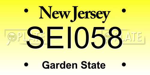 SEI058 New Jersey License Plate
