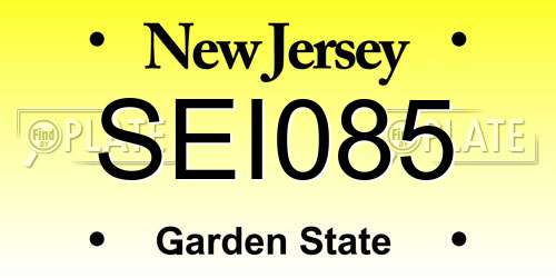 SEI085 New Jersey License Plate