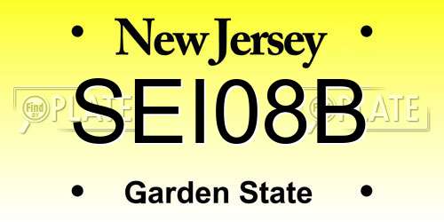 SEI08B New Jersey License Plate