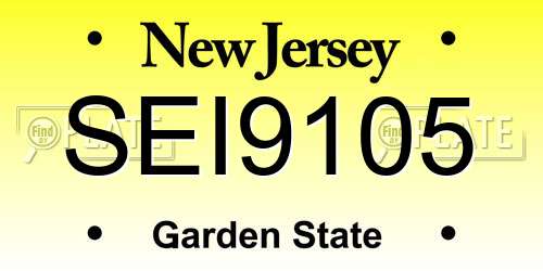 SEI9105 New Jersey License Plate