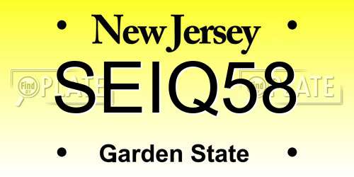 SEIQ58 New Jersey License Plate