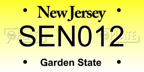 SEN012 New Jersey License Plate
