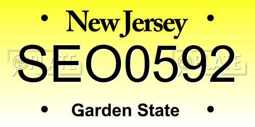SEO0592 New Jersey License Plate