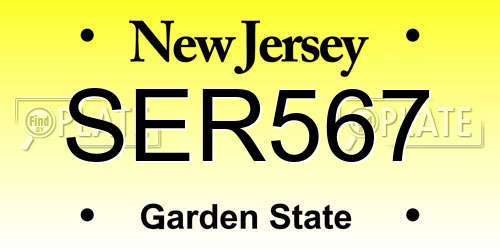 SER567 New Jersey License Plate