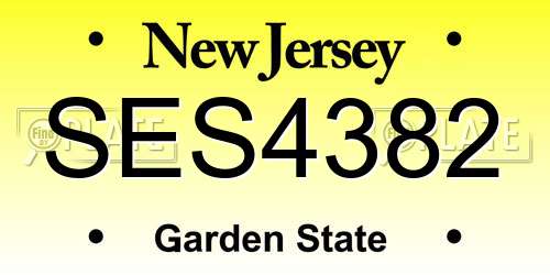 SES4382 New Jersey License Plate