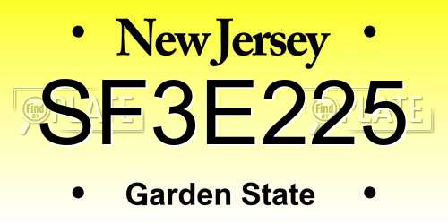 SF3E225 New Jersey License Plate