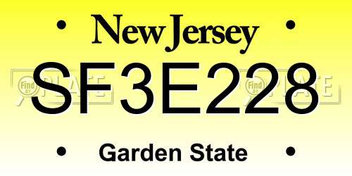 SF3E228 New Jersey License Plate