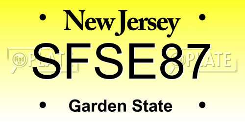 SFSE87 New Jersey License Plate