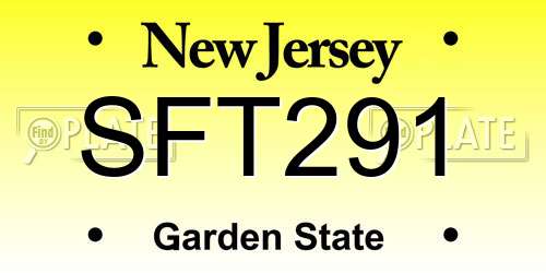 SFT291 New Jersey License Plate