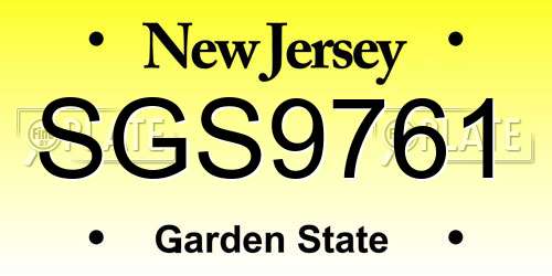 SGS9761 New Jersey License Plate