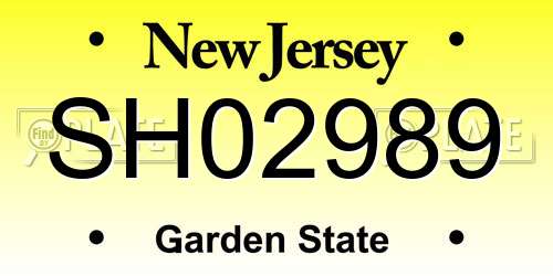 SH02989 New Jersey License Plate