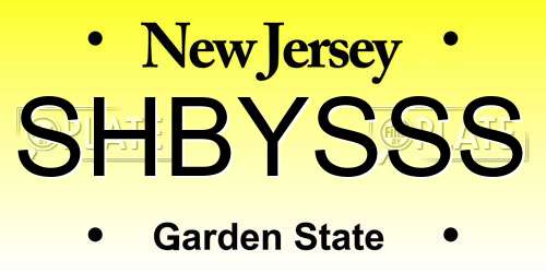 SHBYSSS New Jersey License Plate
