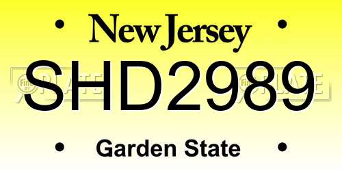 SHD2989 New Jersey License Plate