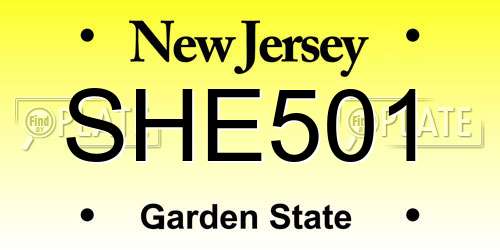 SHE501 New Jersey License Plate
