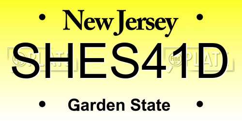 SHES41D New Jersey License Plate