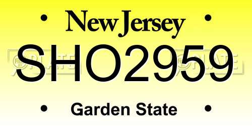SHO2959 New Jersey License Plate