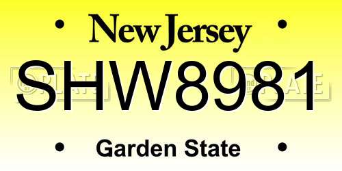 SHW8981 New Jersey License Plate