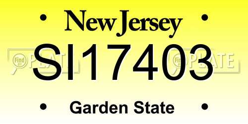 SI17403 New Jersey License Plate