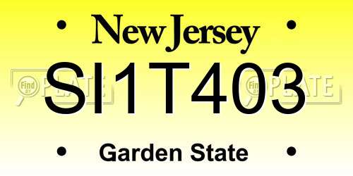 SI1T403 New Jersey License Plate