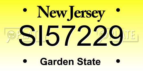 SI57229 New Jersey License Plate