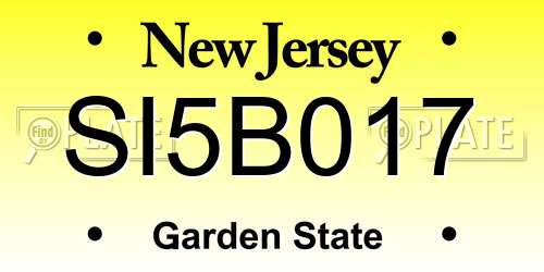 SI5B017 New Jersey License Plate