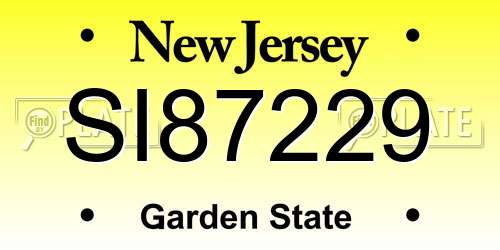 SI87229 New Jersey License Plate