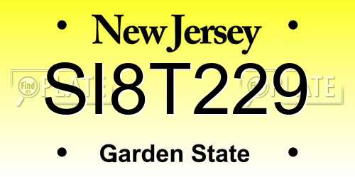 SI8T229 New Jersey License Plate