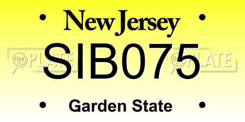 SIB075 New Jersey License Plate