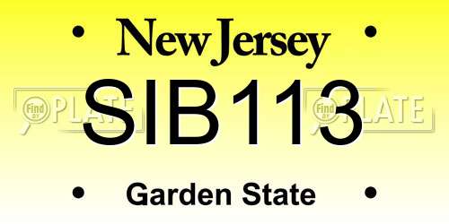 SIB113 New Jersey License Plate