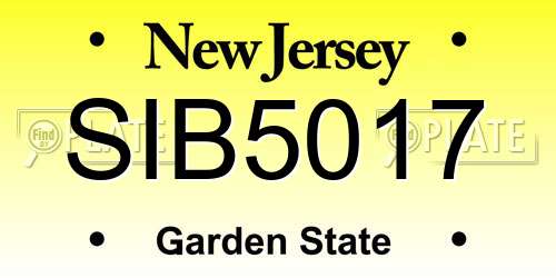 SIB5017 New Jersey License Plate