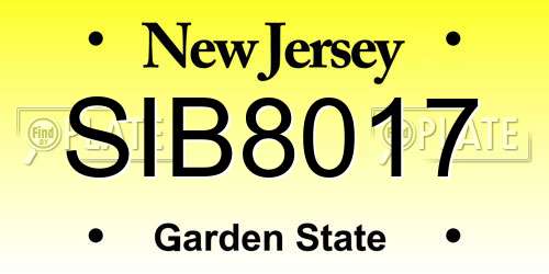 SIB8017 New Jersey License Plate