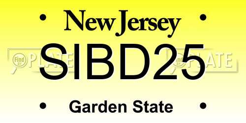 SIBD25 New Jersey License Plate