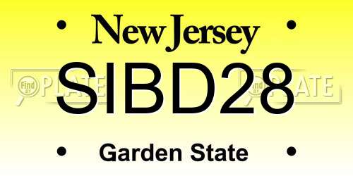 SIBD28 New Jersey License Plate