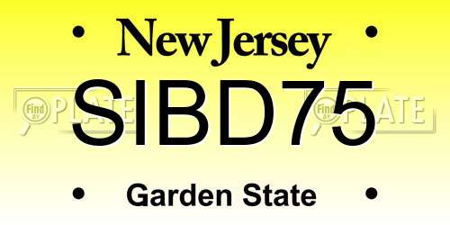 SIBD75 New Jersey License Plate