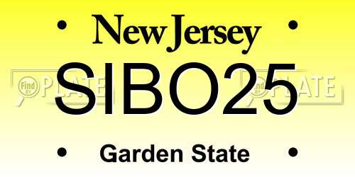 SIBO25 New Jersey License Plate