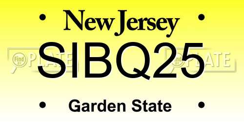 SIBQ25 New Jersey License Plate