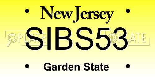 SIBS53 New Jersey License Plate