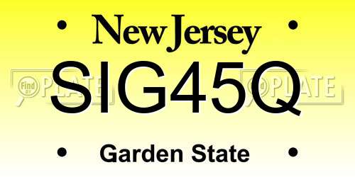 SIG45Q New Jersey License Plate