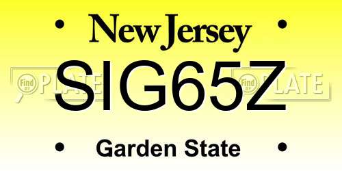 SIG65Z New Jersey License Plate