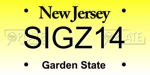 SIGZ14 New Jersey License Plate