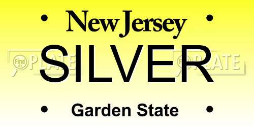 SILVER New Jersey License Plate