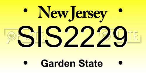 SIS2229 New Jersey License Plate