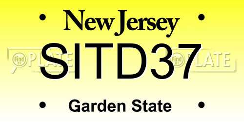 SITD37 New Jersey License Plate