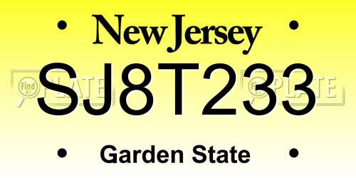 SJ8T233 New Jersey License Plate